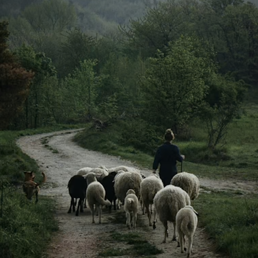 Capture d’écran, le 2023-10-08 à 15.46.37.png